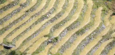 Explore three Kingdoms of Himalaya gallery image