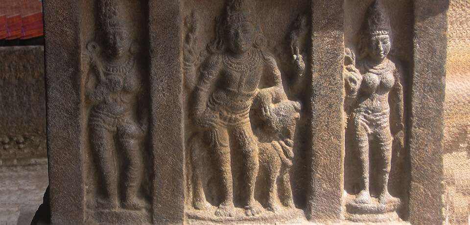 South India: Kerala & Tamil Nadu